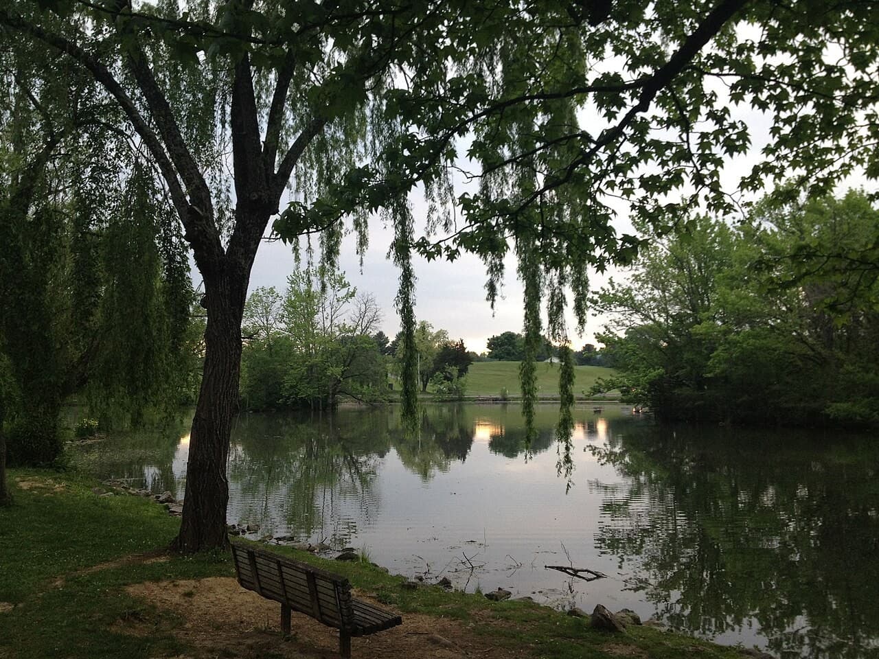The Duckpond and Stroubles Creek