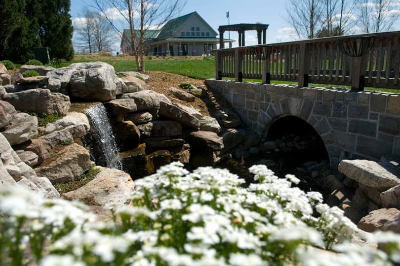 Spring flowers at the Hahn Horticulture Garden