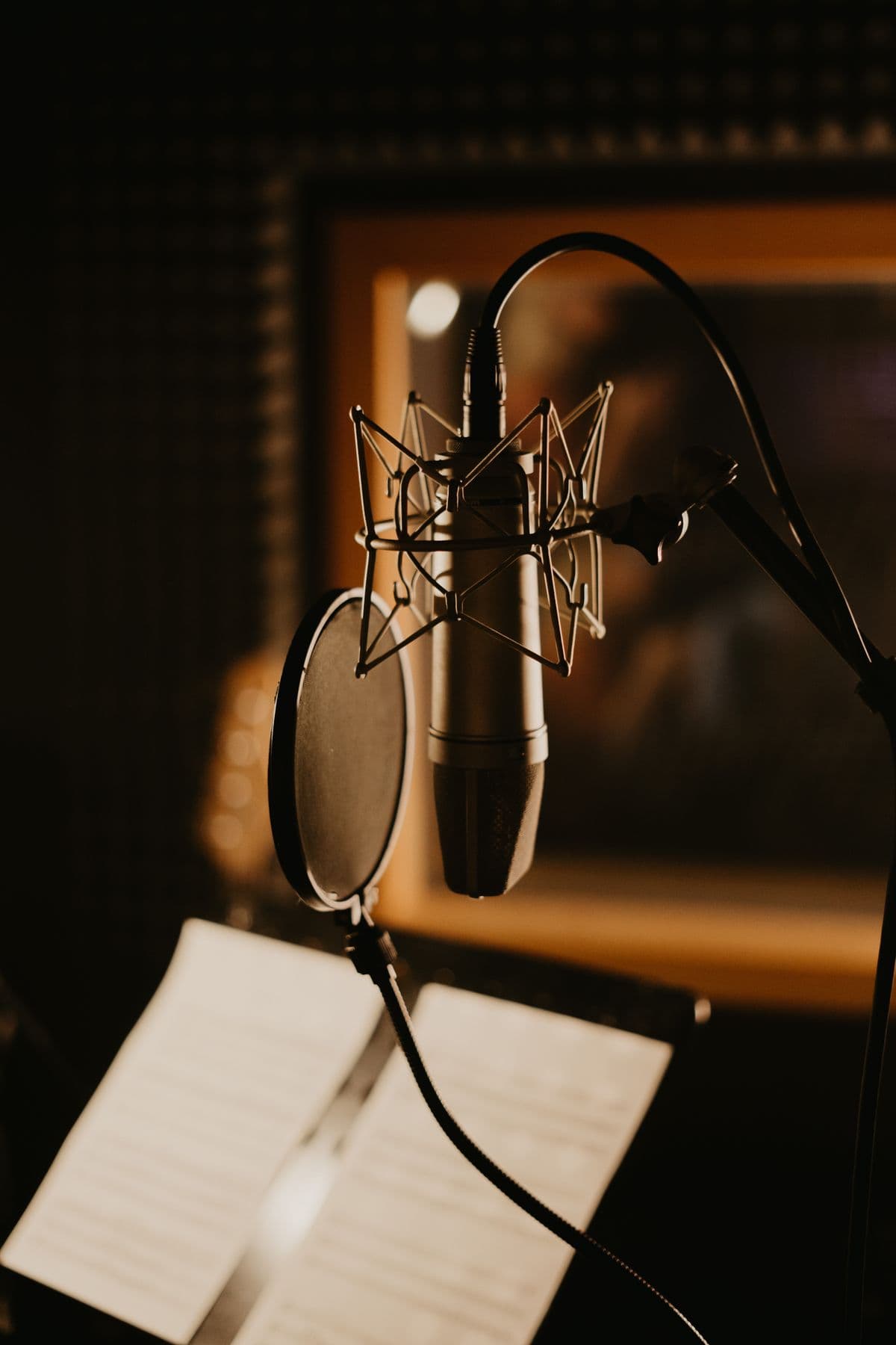 Voiceovers & Creative Narration image 1
