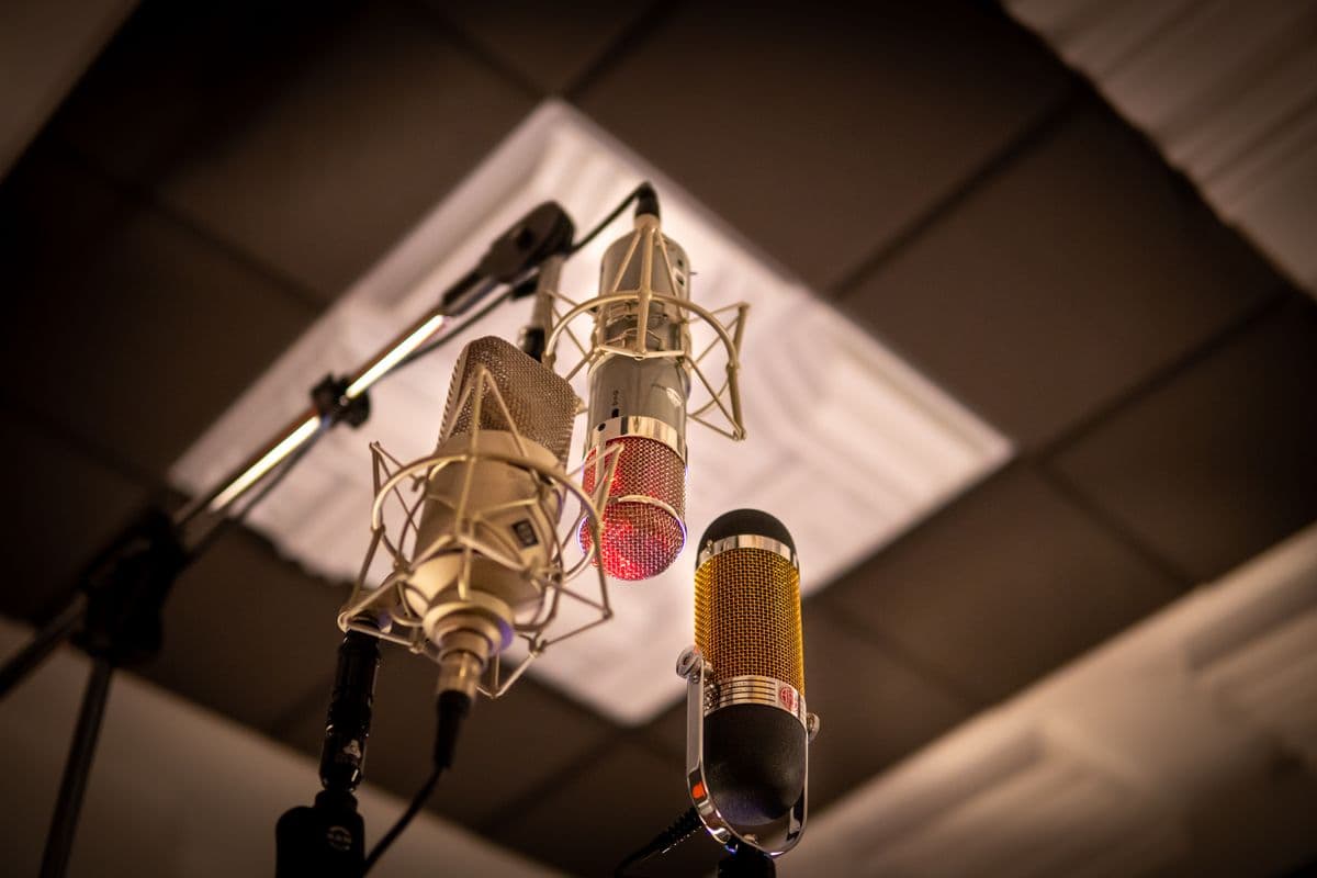 Voiceovers & Creative Narration image 3