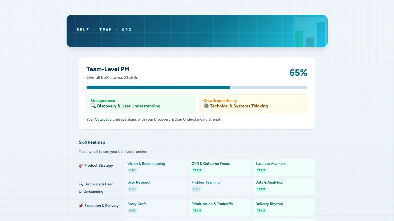 PM Skill Matrix screenshot