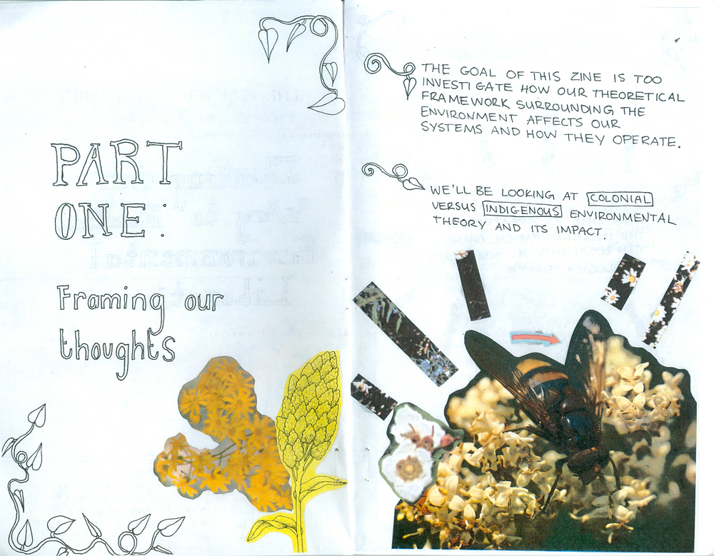 A page from Fern's environmental zine