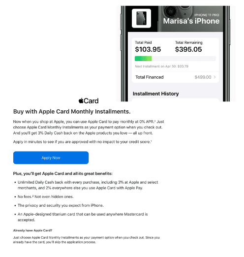 Monthly BNPL Installments for Major Retailer Credit Card detail 1